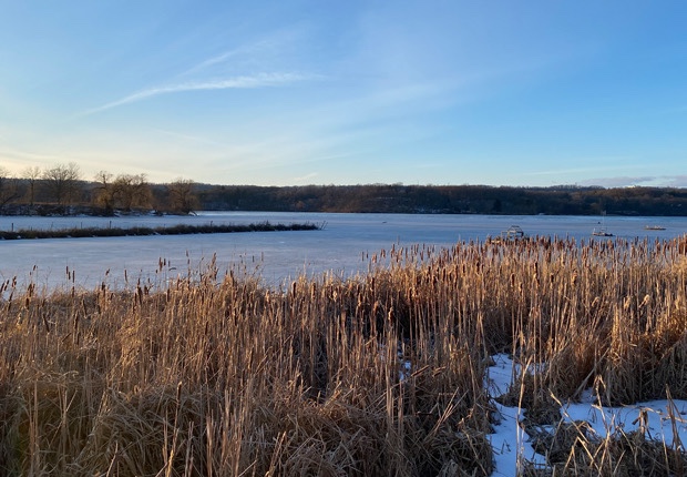 Why Hamilton landscapes? Capturing emotions through painting